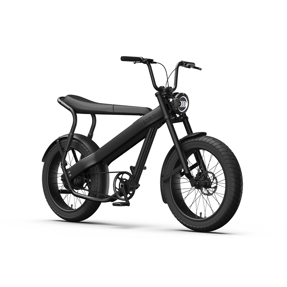 BREKR F250 Fatbike