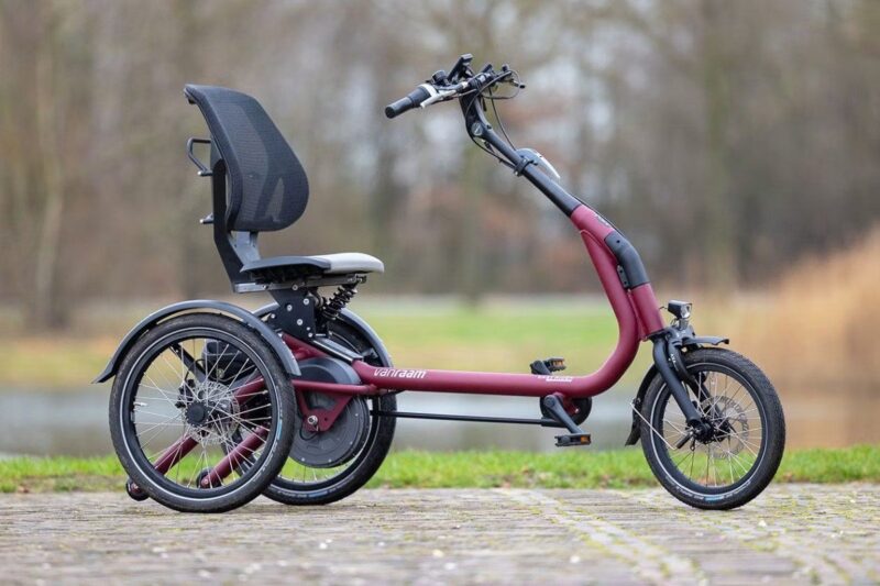 Van Raam Easy Rider Compact Oranje Matt 2026