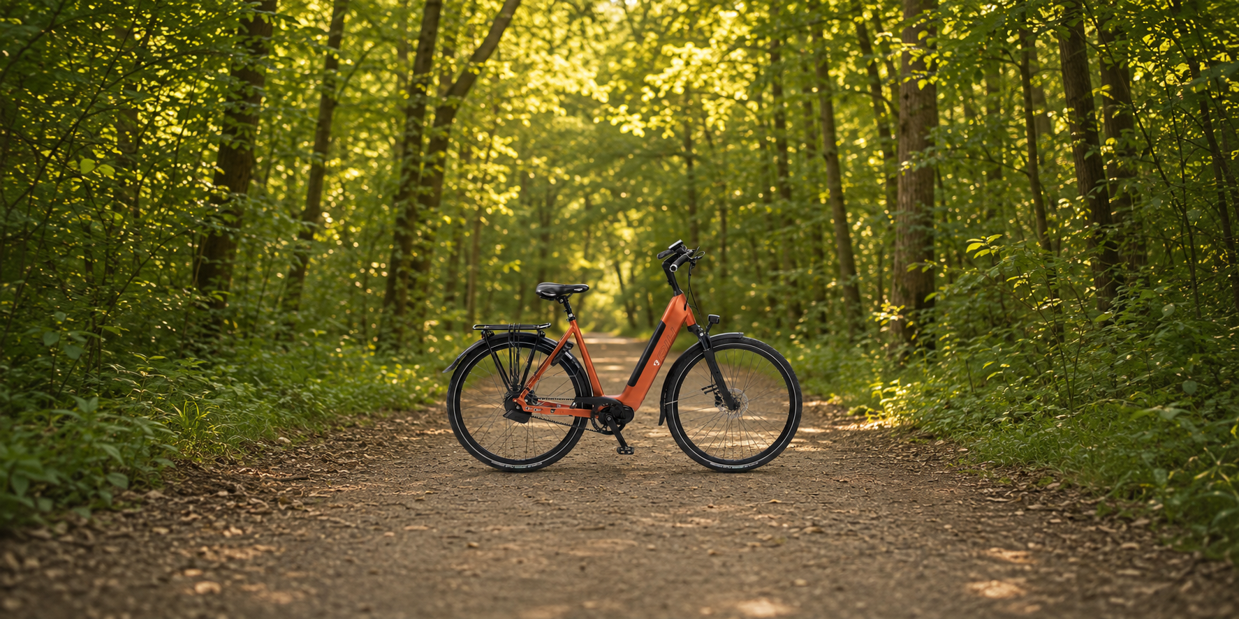 RIH elektrische fiets op een bospad